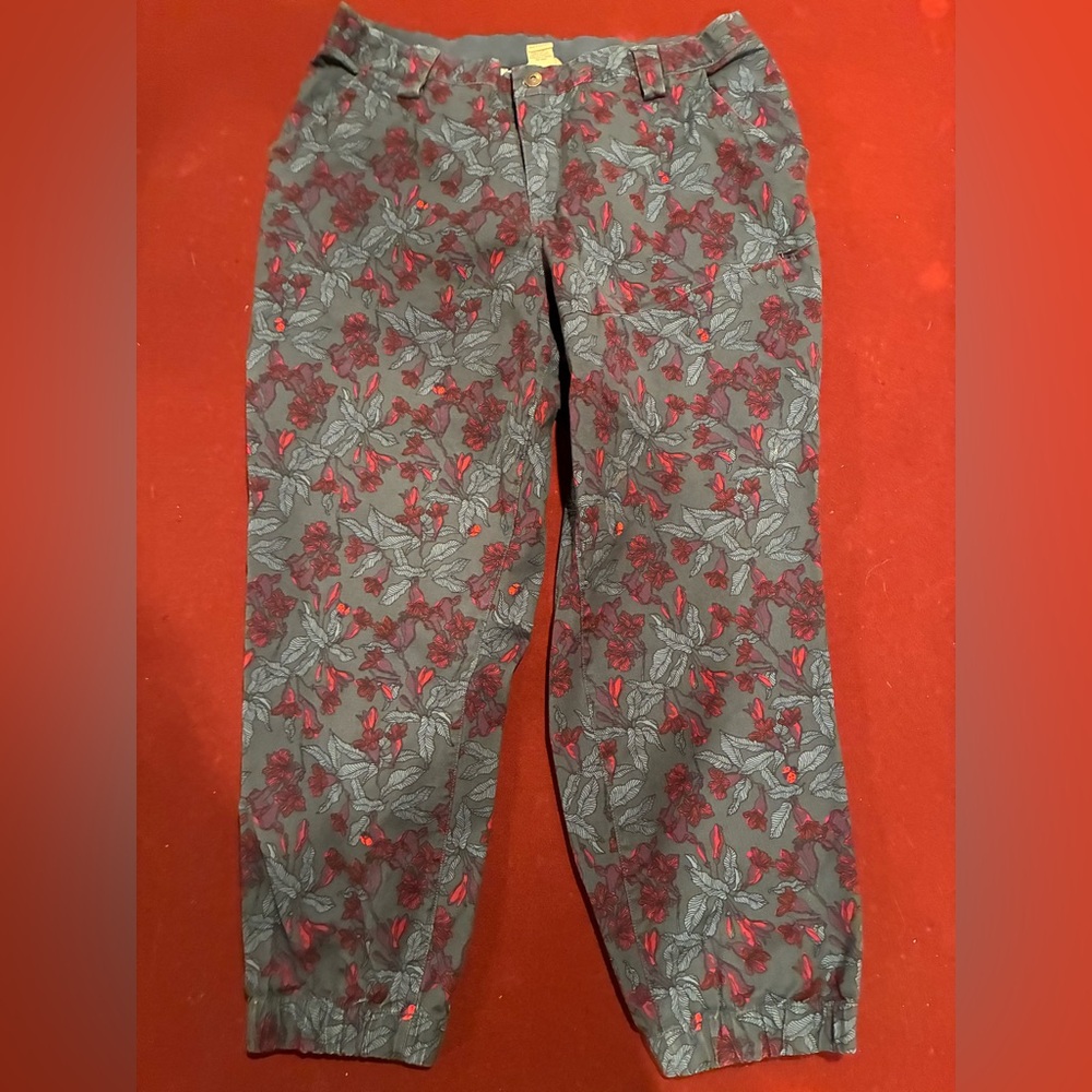 Duluth Trading Co Ankle Jeans - Gray Pink Floral Ladybugs NWOT 16W
